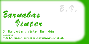 barnabas vinter business card