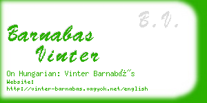 barnabas vinter business card